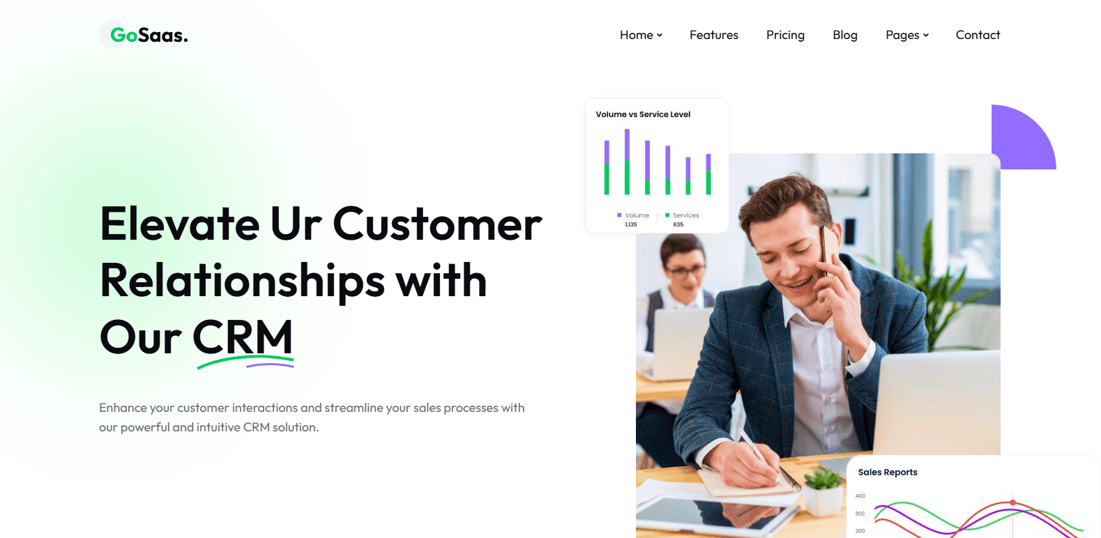GoSaaS project preview